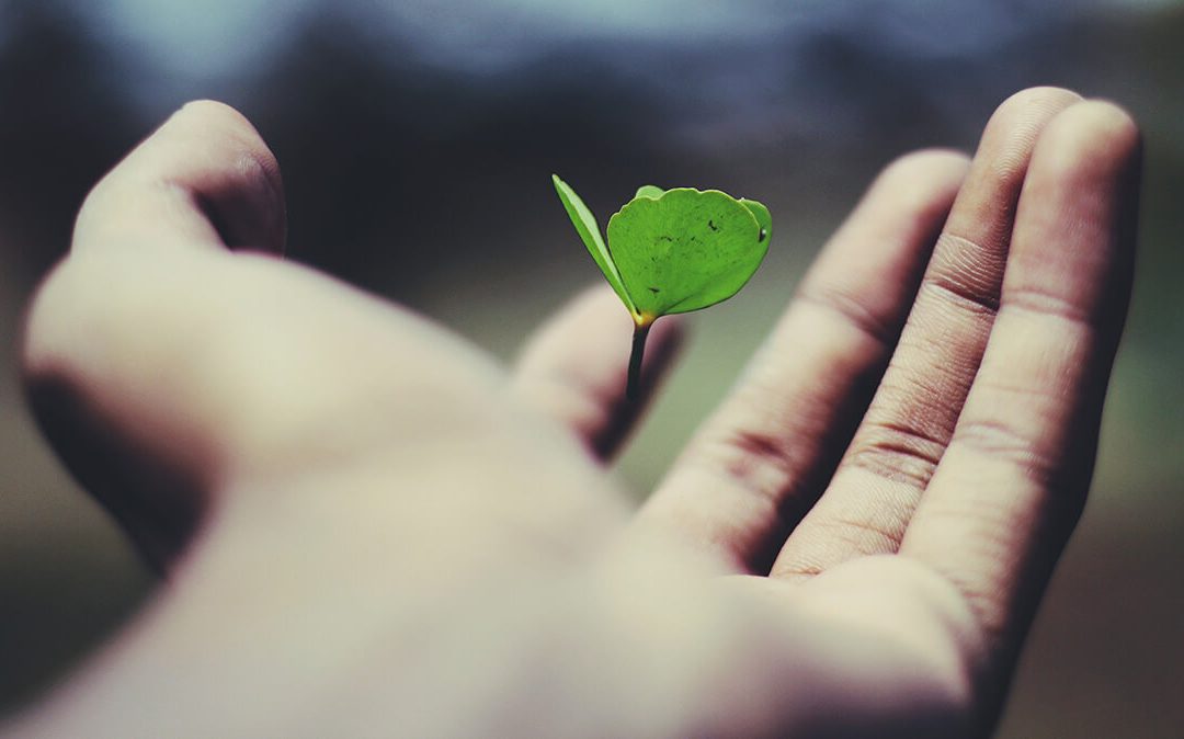 How to ensure 100% success in insurance claim settlements