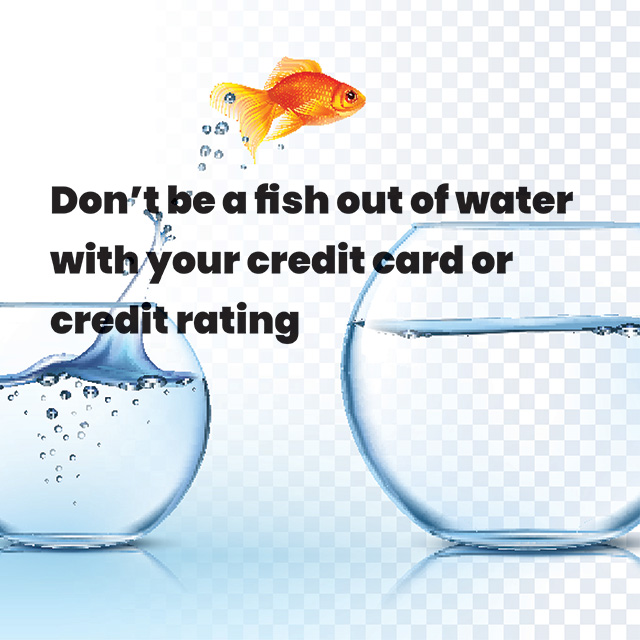 Credit card vs credit rating – and how they affect my mortgage application